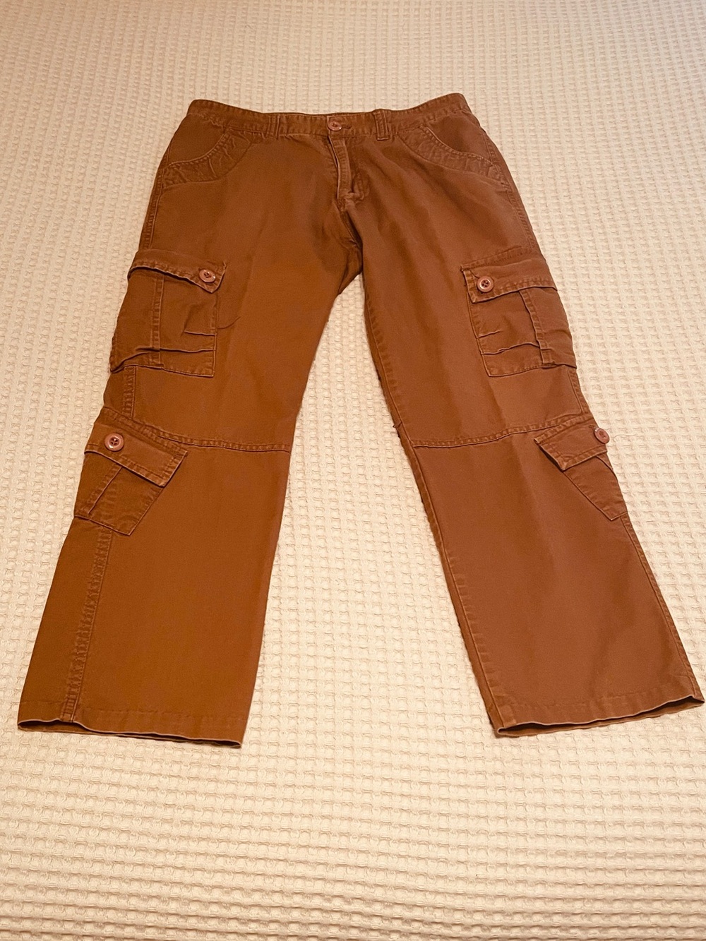 Men's Reddish Brown Bushwacker Cargo Pants